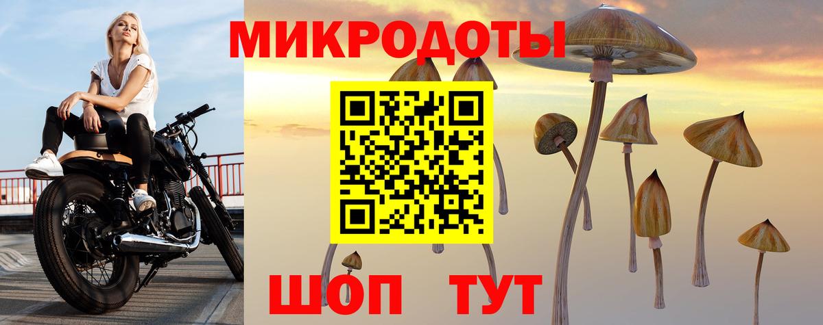 Псилоцибиновые грибы Psilocybine cubensis  Псилоцибиновые грибы Cubensis  Вход с VPN  Ярцево 